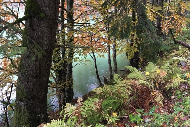 1 Day 4x4 Tour in Carpathian Mountains - Price and what you receive for $191.05