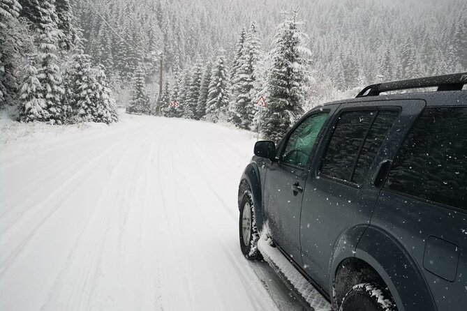1 Day 4x4 Tour in Carpathian Mountains - Who will enjoy this day most