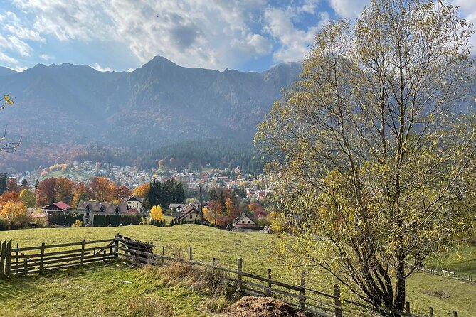 1 Day ATV Tour in Carpathian Mountains - A small group changes the feel of the day
