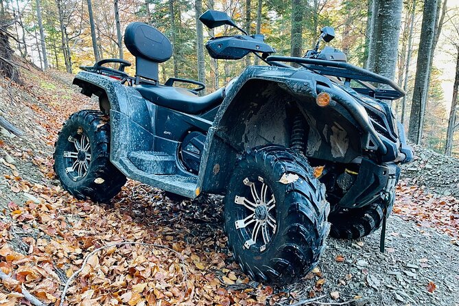 1 Day ATV Tour in Carpathian Mountains - Who should book this experience