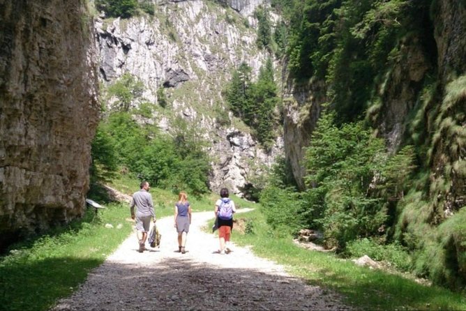 1 day CARPATHIAN PEAKS & CHALETS hike - A guide who makes the difference