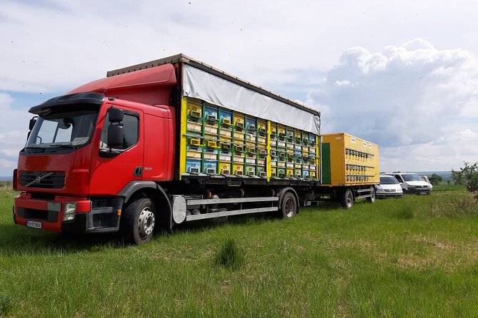 10 hours Private Apiary Tour in Romania - From Bucharest - What happens at the private apiary