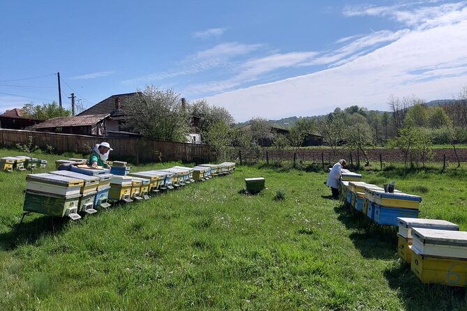 10 hours Private Apiary Tour in Romania - From Bucharest - What the praise tells you about the guides