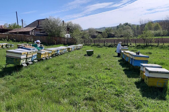 10 hours Private Apiary Tour in Romania - From Bucharest - Why the private format affects the value