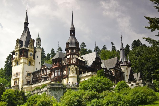 2-Day Small-Group Tour to Dracula's Castle, Rasnov Fortress, Peles Castle, Sighisoara and Libearty Brown Bear Sanctuary with Overnight in Brasov - Day one begins with rescued bears at Libearty