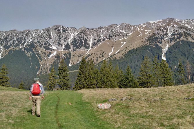 4-Day Carpathian Trek: Bucegi Mountains and Piatra Craiului National Park - Days 2 to 4: Three contrasting days in Piatra Craiului