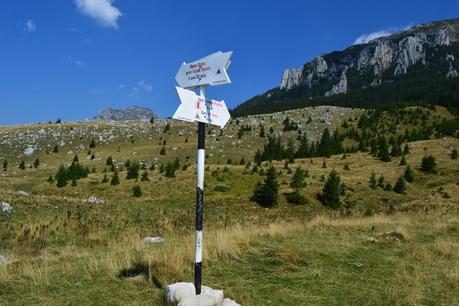 4-Day Carpathian Trek: Bucegi Mountains and Piatra Craiului National Park - Guides who adjust the route, not just the pace