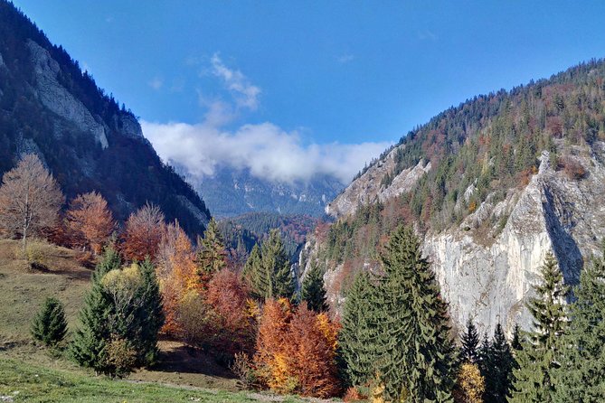 4-Day Carpathian Trek: Bucegi Mountains and Piatra Craiului National Park - Who will enjoy this trek most?
