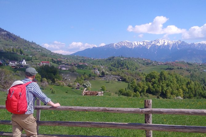 4-Day Carpathian Trek: Bucegi Mountains and Piatra Craiului National Park - Day 1: Wild northern Bucegi and a sheep-farm lunch