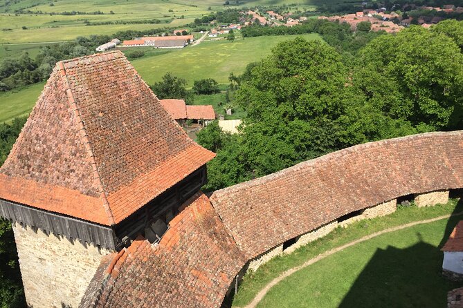 4-Day Private Tour: Bucharest to Budapest via Transylvania - The guide and the pace