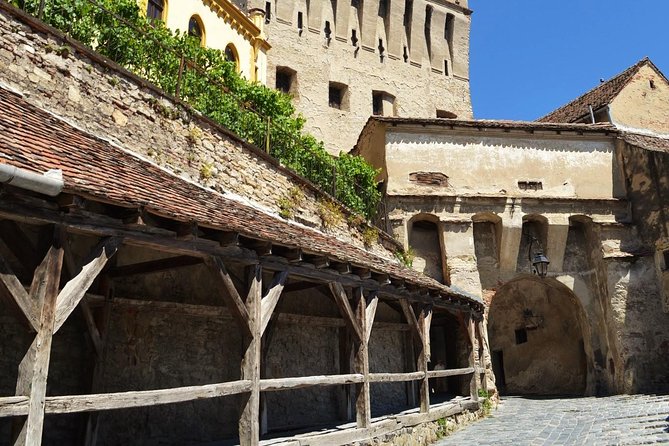 4-Day Private Tour in Transylvania from Bucharest - The private guide makes the difference