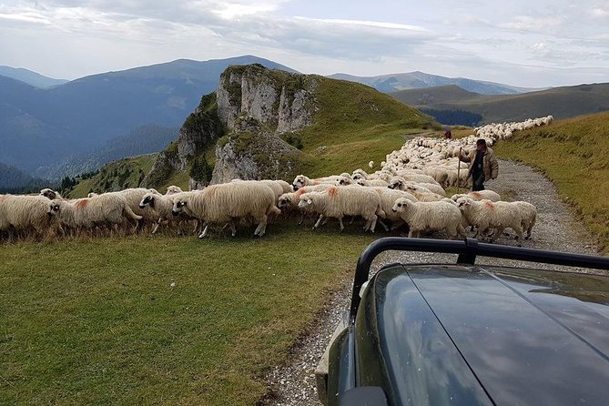 4x4 Driving Experience at Flying Altitudes - 7 Days - Day 5: Transalpina and the pastoral world of Marginimea Sibiului