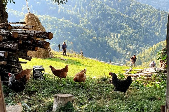 4x4 Driving Experience at Flying Altitudes - 7 Days - Day 7: Brasov’s old center and return to Bucharest