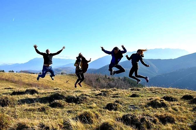 4x4 Nature Tour in Land of Dracula - 1 day - A quieter lunch stop in Poiana Marului