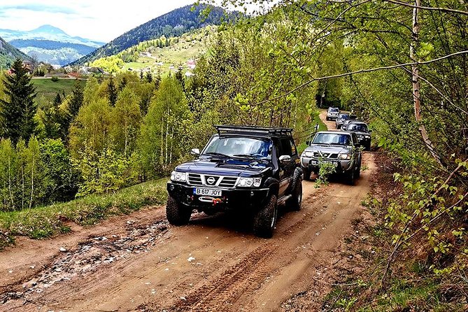 4x4 Nature Tour in Land of Dracula - 1 day - Magura, Pestera, and the rural Carpathians