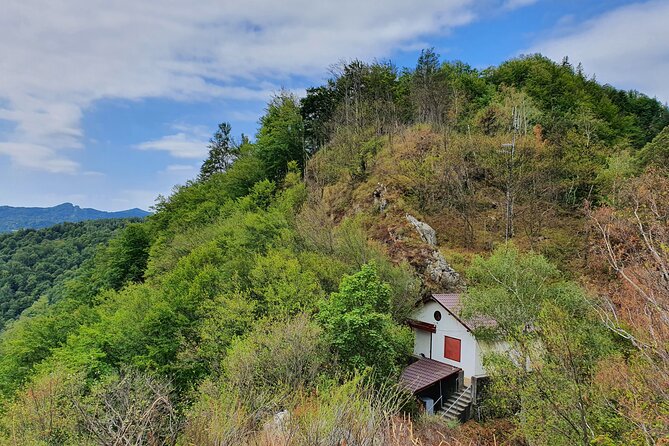 6 Days Private Tour in Romania Spectacular Places from Bucharest - Day 5: Turda Salt Mine and Cluj-Napoca