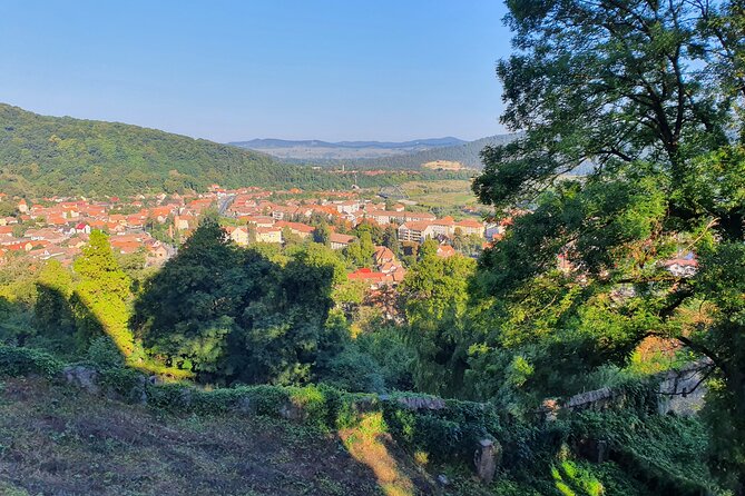 6 Days Private Tour in Romania Spectacular Places from Bucharest - What the private format adds