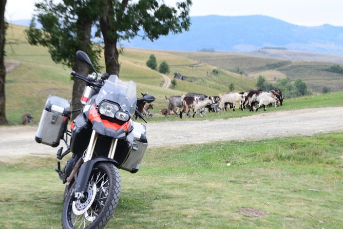 7 Day Best of Transylvania Motorcycle Tour from Cluj - Day 5: The famous Transfagarasan Highway