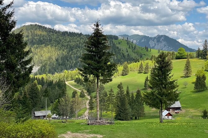 Adventure day trip from Iasi | Hiking in the Carpathian Mountains - What the $231.19 price really covers