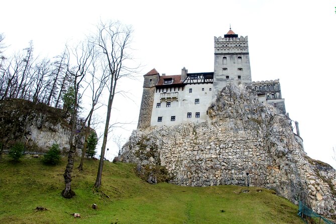 Bear Sanctuary and Bran Castle from Brasov - Why the bear sanctuary deserves top billing