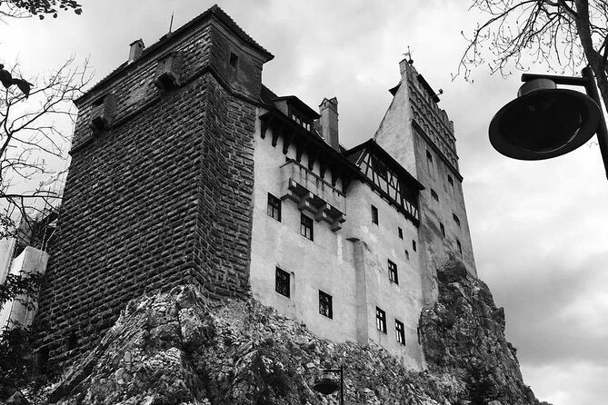 Bear Sanctuary and Bran Castle from Brasov - What the $63 price really covers