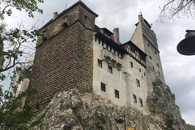 Bear Sanctuary and Bran Castle from Brasov - Small details that improve the day