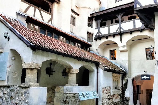 Bear Sanctuary and Dracula's Castle, 1-day Private Tour - The long drive, comfort, and timing