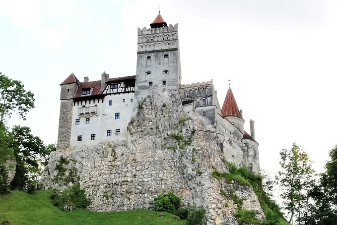 Bear Sanctuary and Dracula's Castle, 1-day Private Tour - Who will enjoy this tour most