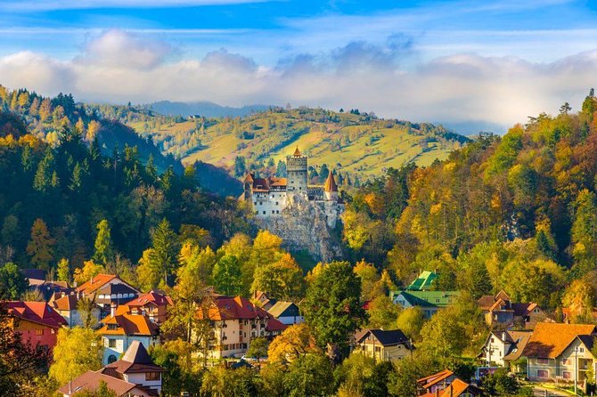 Bear Sanctuary, Bran (Dracula) Castle, Peles Castle From Brasov - Libearty Sanctuary and Romania’s rescued brown bears