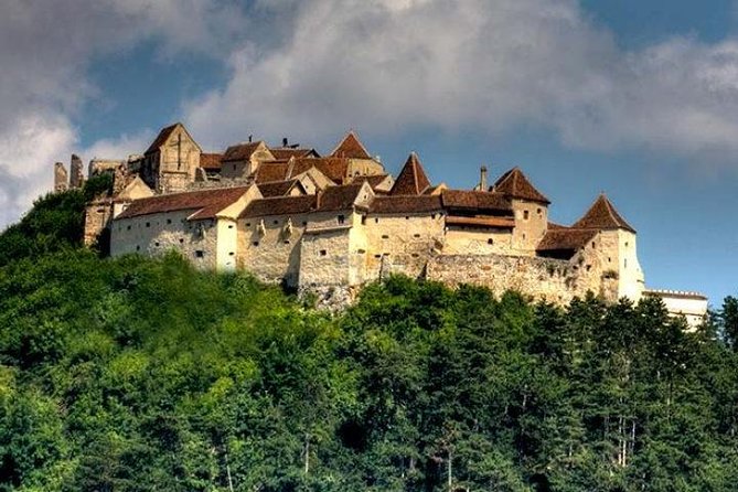 Bear Sanctuary & Rasnov Fortress - Private day tour from Bucharest - Timing, traffic, and the reality of a 7:30 start