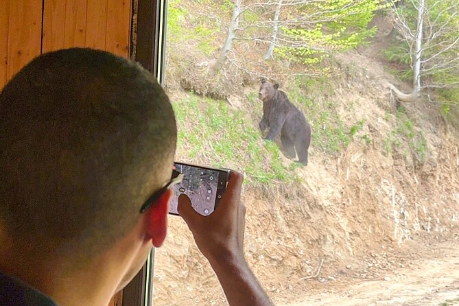 Bear Watching In Brasov: Observe Wild Bears From A Hideout (100%) - The ranger and the guide make the difference