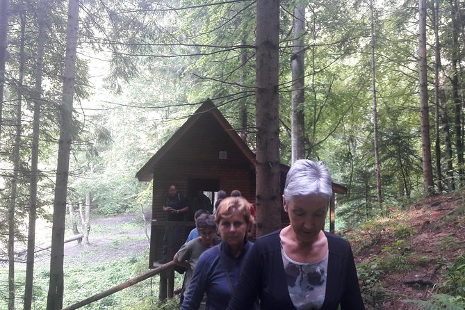 Bear Watching in The Wild from Brasov (100 %) - Clothing and conduct matter here