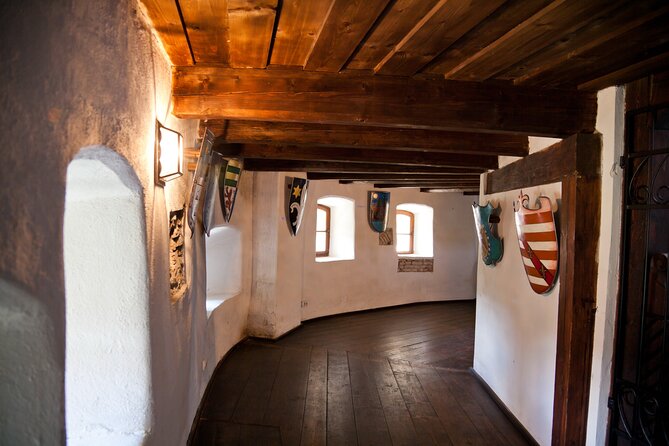 Bears Sanctuary, Dracula Castle and Poiana Brasov-Private day tour from Brasov - Libearty Bear Sanctuary: the strongest stop for animal lovers