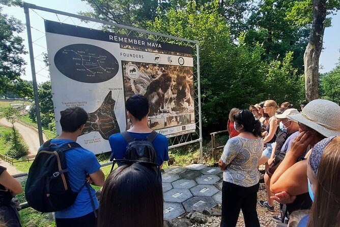 Bears Sanctuary, Dracula Castle and Poiana Brasov-Private day tour from Brasov - Poiana Brasov gives the day a softer finish