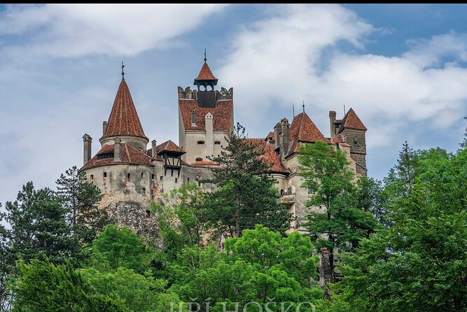 Bears Sanctuary, Dracula's Castle and Brașov City - Private Tour - Why this Bucharest day trip works