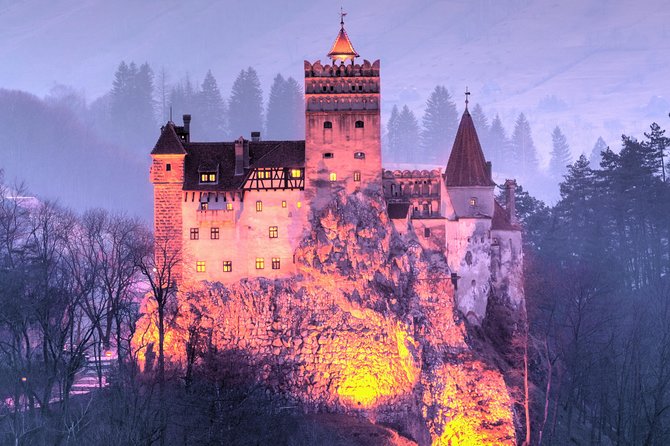 Bears Sanctuary, Dracula's Castle, Brasov Day Trip Private Tour from Bucharest - Who will enjoy this tour most
