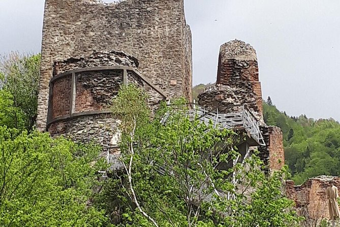 Bears Sanctuary, Dracula's Castle, Brasov Day Trip Private Tour from Bucharest - Booking details worth checking