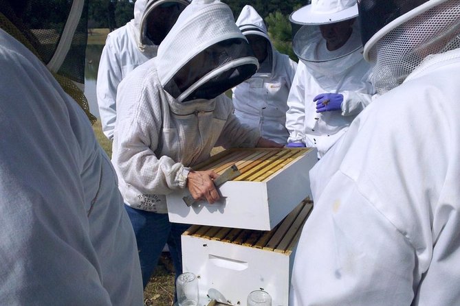 Beekeeping Day Trip| Private Guided Tour from Bucharest - Key points to know before booking