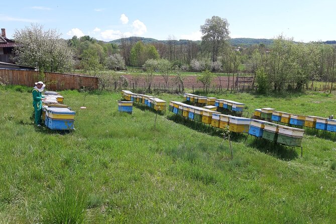 Beekeeping Day Trip| Private Guided Tour from Bucharest - From Bucharest to a working apiary in Valcea County