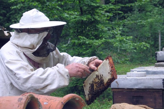 Beekeeping Day Trip| Private Guided Tour from Bucharest - Seeing the honey harvest and opening up the hive