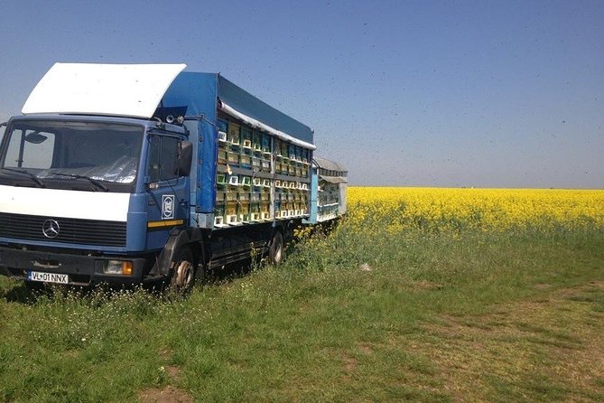 Beekeeping Day Trip| Private Guided Tour from Bucharest - A traditional Romanian lunch from ecological sources