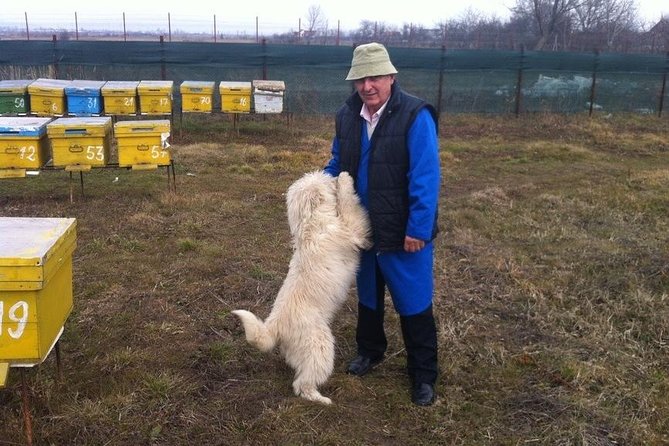 Beekeeping Day Trip| Private Guided Tour from Bucharest - What the long drive means for value