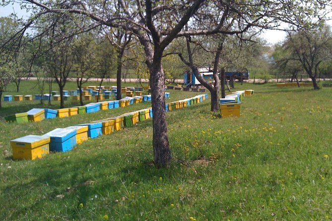 Bees Adventure in Romania - Private Day Trip from Bucharest - Leaving Bucharest for Valcea County