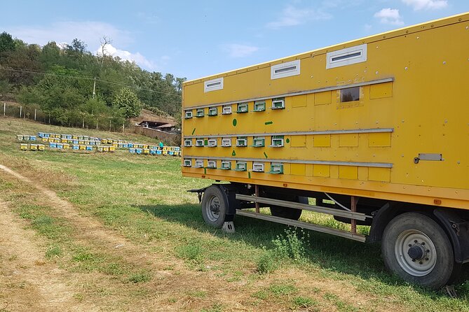 Bees Adventure in Romania - Private Day Trip from Bucharest - Who will enjoy this day most