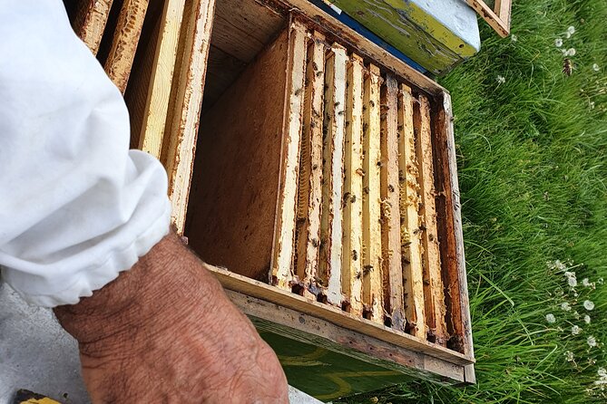 Bees Adventure in Romania - Private Day Trip from Bucharest - Seeing how a hive works