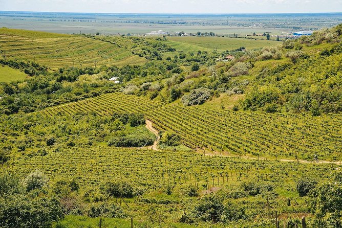 Bike & Wine tour in Dealu Mare wineland - Riding through Dealu Mare with the supplied equipment