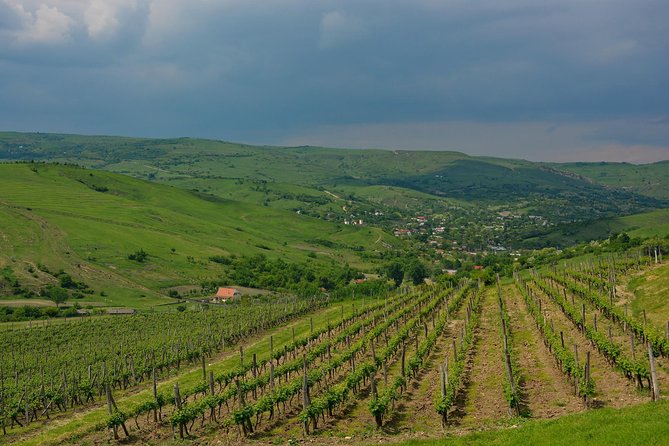 Bike & Wine tour in Dealu Mare wineland - Practical details that can affect your decision
