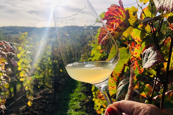 Bike & Wine tour in Dealu Mare wineland - The journey from Bucharest to the vineyards