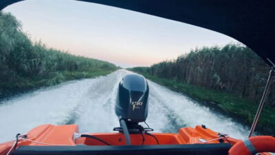 Boat Trip to Caraorman Forest – Danube Delta (6–7 hours)