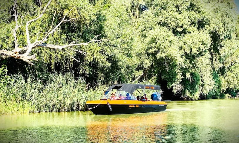 Boat Trip to Caraorman Forest – Danube Delta (6–7 hours) - Clisciova and Durnoleapca, where the boat slows down